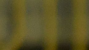 Clinton N’Jie ofreció disculpas por el incidente.