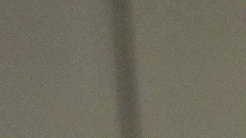 El presidente utilizará otros recursos para conocer el estatus migratorio de quienes residen en EEUU.