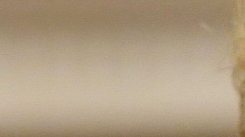 El voto latino será clave en las elecciones de 2020