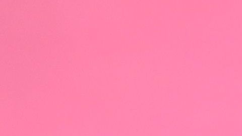 El equipo ganador de gimnasia rítmica.