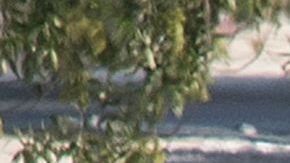 El FBI investiga como un atentado terrorista doméstico la masacre en El Paso.