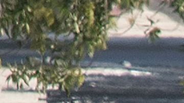 El FBI investiga como un atentado terrorista doméstico la masacre en El Paso.