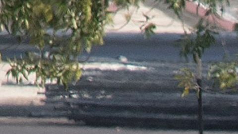 El FBI investiga como un atentado terrorista doméstico la masacre en El Paso.