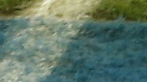 Gabriel Jesús estará inhabilitado dos meses y pagará una multa de $30 mil dólares.