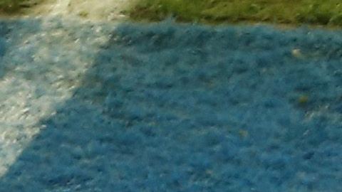 Gabriel Jesús estará inhabilitado dos meses y pagará una multa de $30 mil dólares.