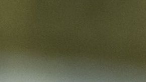 Todo el mundo está pidiendo que ayuden a combatir el fuego que consume al Amazonas.