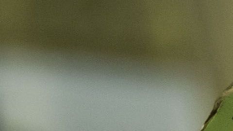 Todo el mundo está pidiendo que ayuden a combatir el fuego que consume al Amazonas.