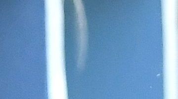 DJ Le Mathieu conectó el jonrón que le dio la marca a los de Nueva York.