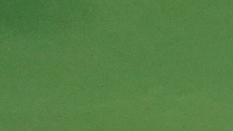 La guapa tenista no pudo contra Serena Williams.
