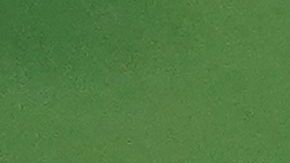 La guapa tenista no pudo contra Serena Williams.