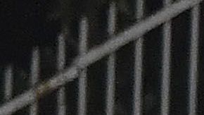 Gremio vino de atrás para llevarse el pase a la semifinal de la Libertadores.