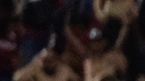 Cruz Azul dejó ir la victoria y Xolos aprovechó el hombre de más.