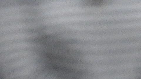 Coco Gauff, emocionada, junto a Naomi Osaka al final de su partido.