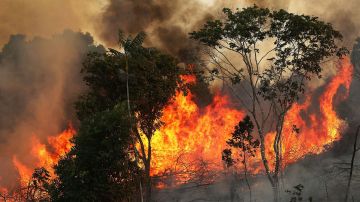 Según el INPE, ha habido 74.155 incendios en Brasil en lo que va del año, la mayoría de los cuales estallaron en el Amazonas. Eso representa un salto asombroso de más del 80% respecto al año pasado.