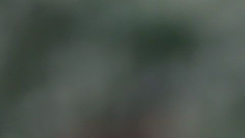 Mario Williams fue arrestado por invadir propiedad privada.