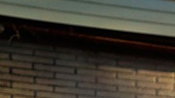 El NYPD ha reportado 48 asesinatos en los casi dos meses de lo que va del 2019.