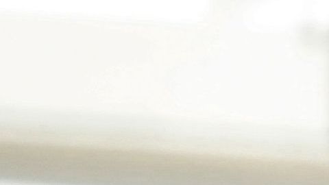 Cooper se presenta en 2020 a la reelección como gobernador de un estado de tendencia republicana.