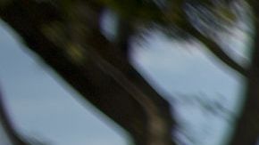 La lucha de la comunidad LGBTQ sigue adelante.