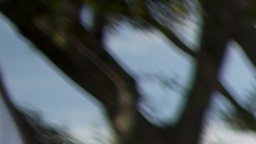 La lucha de la comunidad LGBTQ sigue adelante.