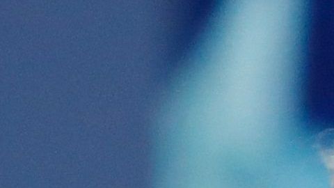 Ivanka Trump es asesora en la Casa Blanca.