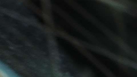 El sujeto reside en Brooklyn.