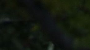 Ivanka Trump comparte en redes sociales fotos de sus hijos.