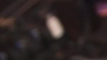 Toni Costa  y Adamari López.