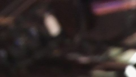 Toni Costa  y Adamari López.