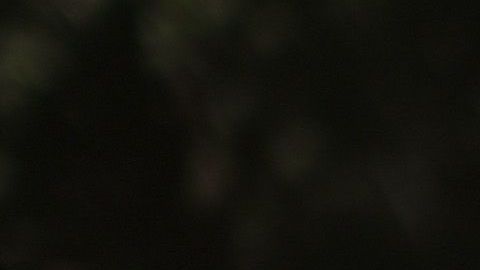 Activistas han aumentados las protestas contra el racismo.