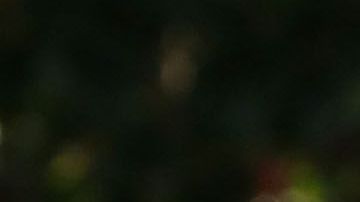 El presidente visitó Puerto Rico en octubre de 2017.