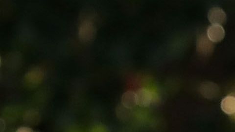 El presidente visitó Puerto Rico en octubre de 2017.