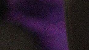 La regla aplicaría a hijos de estadounidenses nacidos en el extranjero.