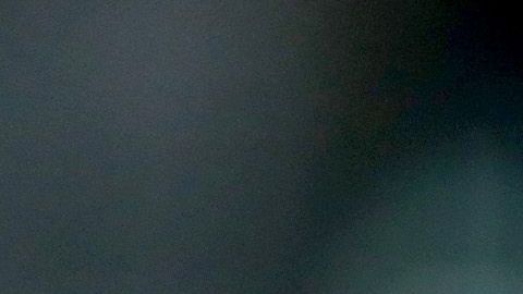 David Andrews fue dado de alta.