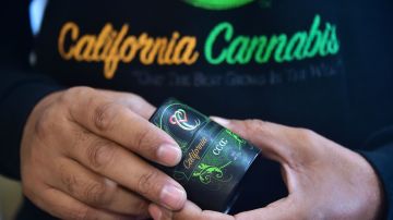 Un empresario de cannabis  tiene un contenedor de marihuana medicinal en un dispensario que él administra en Los Angeles, California.