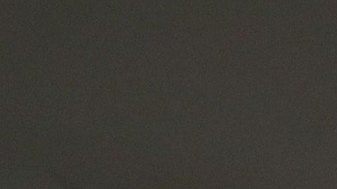 Alegan que la separación de sus padres causó a estos niños un "trauma irreversible".