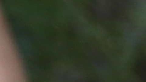 Los inmigrantes detenidos no recibirán protección contra la gripa.