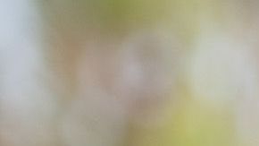 En 2018, el demócrata visitó también un centor de retención provisional en Texas.