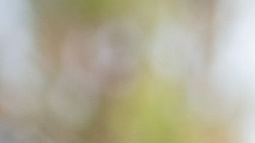 En 2018, el demócrata visitó también un centor de retención provisional en Texas.