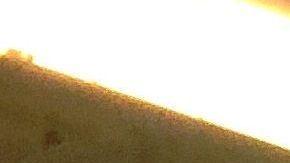 Solo podrán beneficiarse residentes de ciertos estados y territorios.