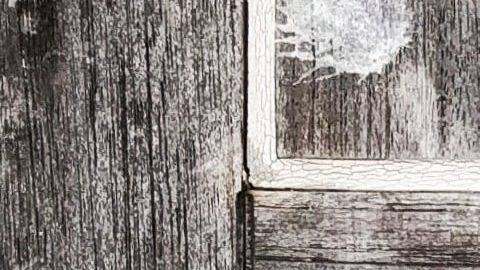 gregor-moser-QGIJUqnEpCY-unsplash