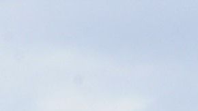 Los helicópteros sobrevolaron un crucero que navegaba por el Hudson River el verano pasado.