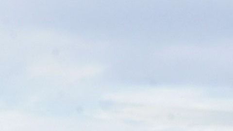 Los helicópteros sobrevolaron un crucero que navegaba por el Hudson River el verano pasado.