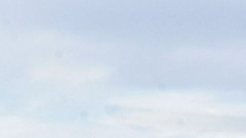 Los helicópteros sobrevolaron un crucero que navegaba por el Hudson River el verano pasado.