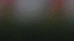 Andrés Ibargüen resulto lesionado, durante el juego ante los Tigres.