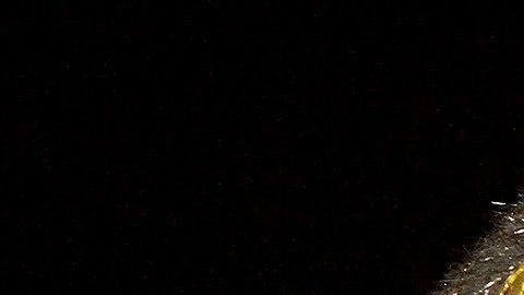 Rey Misterio lamentó lo sucedido en El Paso.