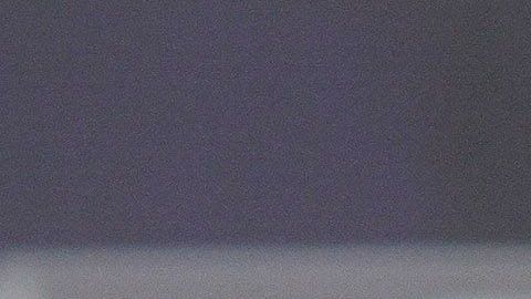 Aceptó su fracaso como timonel de los camoteros