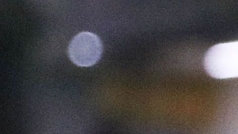 Silvio Rodríguez es uno de los dos jugadores de Independiente que podrían volver a América.