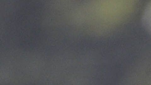 Carlos "Gullit" Peña podría ser demandado por el GKS Tychy, de Polonia.