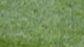 Paco Memo se convertirá en el futbolista mejor pagado de la Liga MX.