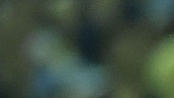 En el video, que fue difundido en Internet, aparece Braulio Ramírez completamente desnudo y frente a la cámara